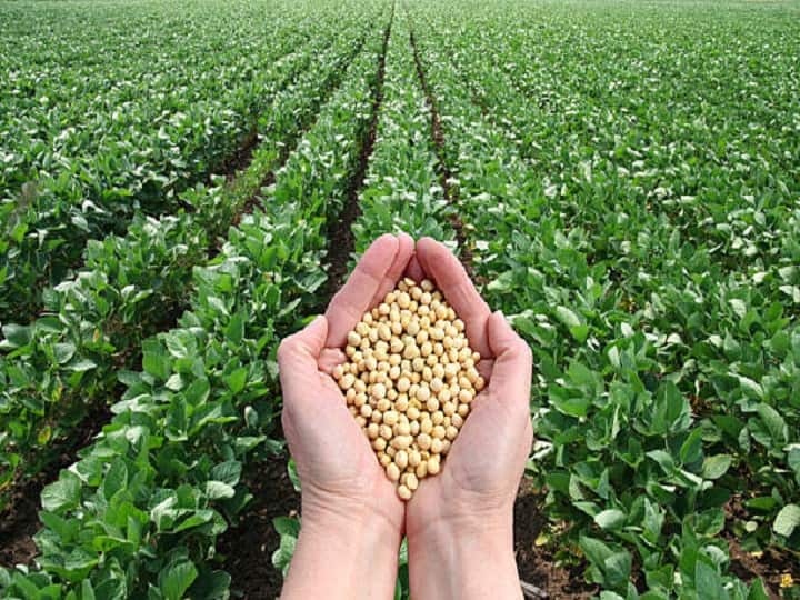 Maharashtra News Updates 21 more circles are now included after earlier 52 for soybean advance crop Insurance Soybean Crop: सोयाबीन अग्रीमसाठी आधीच्या 52 नंतर आता आणखी 21 मंडळांचा समावेश