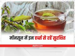 Monsoon Care : मॉनसून में इन हर्ब्स से खुद को रखें सुरक्षित, कई बीमारियां रहेंगी दूर