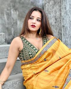 Monalisa Saree Look: ડીપ નેક બ્લાઉઝમાં સિઝલિંગ પોઝ આપતી જોવા મળી મોનાલિસા