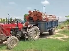 Khatima News: खटीमा अवैध तरीक से काटे यूकेलिप्टस के पेड़, ट्रैक्टर से ले जा रहा था यूपी , SDM ने लिया एक्शन