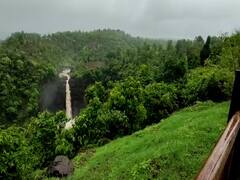 Palghar : पालघर जिल्ह्यातील नयनरम्य धबधब्याचे डोळ्यांचे पारणे फेडणारे फोटो पाहाच