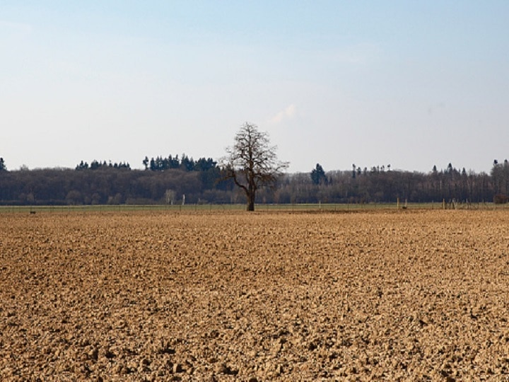 Governemt scheme for barren lands in which Farmers will get farming land on  lease | Integrated Farming: बंजर जमीन में जान फूंकने के लिये किसानों को लीज  पर मिलेंगे खेत, यहां जानें