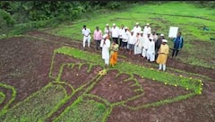 Mulshi Vitthal News: बोलावा विठ्ठल, पहावा विठ्ठल! मुळशीतील शेतकऱ्याची कमाल! भात शेतीत रोपांच्या सहाय्याने साकारली 'विठ्ठलाची मूर्ती'