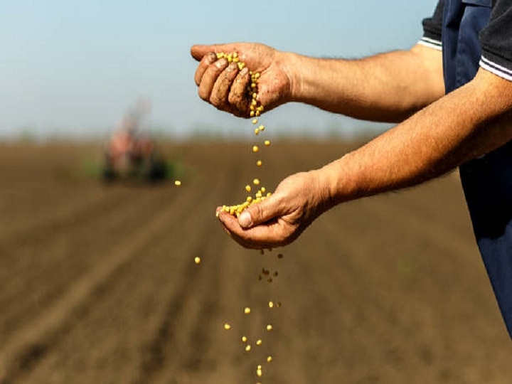 Soyabean Cultivation: लहलहा उठेंगे सोयाबीन के खेत, बुवाई से पहले कर लें ये 5 जरूरी काम