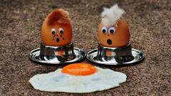 Egg Yolk Benefits: ডিমের কুসুম খেলে কি হৃদরোগের সম্ভাবনা বাড়ে?