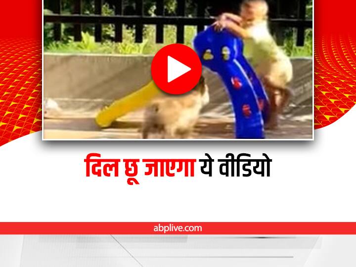 cute kid playing with puppy video viral on social media Watch: मासूम बच्चे ने कुत्ते के पिल्ले को करवाए झूले पर मज़े, वीडियो वायरल