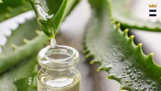 Aloe Vera Benefits For Hair : ਵਾਲਾਂ ਦੀ ਸਮੱਸਿਆ ਤੋਂ ਹੋ ਪਰੇਸ਼ਾਨ ਤਾਂ ਅਪਣਾਓ ਇਹ ਆਸਾਨ ਟਿਪਸ, ਐਲੋਵੀਰਾ ਦੀ ਮਦਦ ਨਾਲ ਦੂਰ ਹੋਵੇਗੀ ਸਮੱਸਿਆ