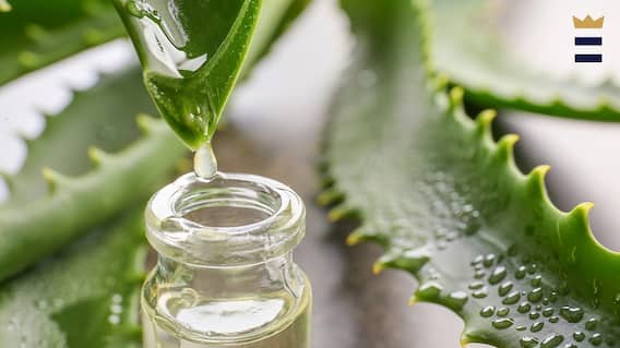 Aloe Vera Benefits For Hair : ਵਾਲਾਂ ਦੀ ਸਮੱਸਿਆ ਤੋਂ ਹੋ ਪਰੇਸ਼ਾਨ ਤਾਂ ਅਪਣਾਓ ਇਹ ਆਸਾਨ ਟਿਪਸ, ਐਲੋਵੀਰਾ ਦੀ ਮਦਦ ਨਾਲ ਦੂਰ ਹੋਵੇਗੀ ਸਮੱਸਿਆ