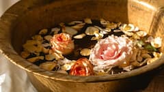 Rose Water For Skin: ত্বকের যত্নে গোলাপ জল কীভাবে কাজে লাগে? জেনে নিন