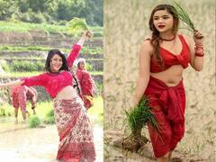 In Pics : भर पावसात भात लावणी कोण करतंय? अभिनेत्रीचे हॉट फोटो व्हायरल