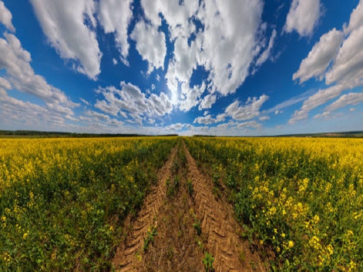 Agriculture Technology: इंच-इंच नप जायेगा खेत, किसान अपने फोन में डाउनलोड कर लें ये खास एप