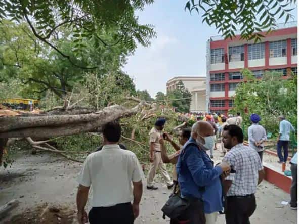 Punjab Government called for a report Termites and dry trees will be cut from schools in Punjab ਚੰਡੀਗੜ੍ਹ 'ਚ ਵਿਦਿਆਰਥਣ ਦੀ ਮੌਤ ਤੋਂ ਜਾਗੀ ਸਰਕਾਰ : ਪੰਜਾਬ ਦੇ ਸਕੂਲਾਂ 'ਚੋਂ ਕੱਟੇ ਜਾਣਗੇ ਸਿਉਂਕ ਲੱਗੇ ਅਤੇ ਸੁੱਕੇ ਦਰੱਖਤ; ਸਰਕਾਰ ਨੇ ਤਲਬ ਕੀਤੀ ਰਿਪੋਰਟ