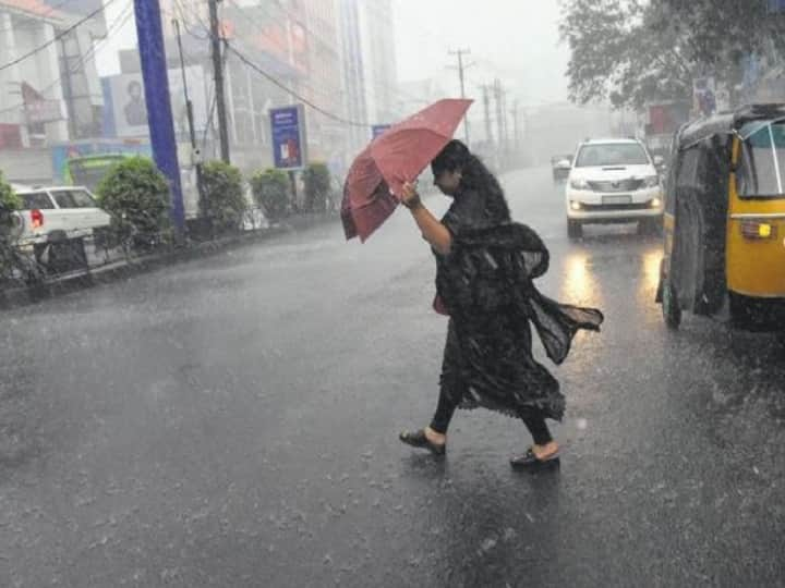 Rajasthan Monsoon active Red alert in Ajmer Bharatpur Jaipur Kota Udaipur divisions ANN Rajasthan Weather Update: राजस्थान के इन पांच जिलों में चार दिनों तक होगी भारी बारिश, रेड अलर्ट जारी