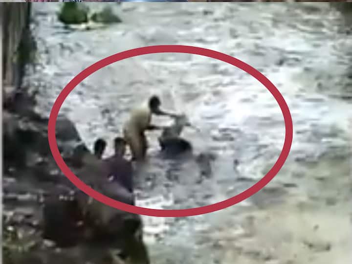 the police jumped to rescue a man in pune ambil odha Pune News: सॅल्यूट! वाहून जाणारा तरुण पाहताच पोलिसाने स्वत: उडी घेत वाचवला जीव; संपुर्ण थरार कॅमेऱ्यात कैद