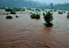 Nashik Rain : नाशिक शहरासह जिल्ह्यात जोर'धार', नदी नाले तुडुंब, बळीराजा सुखावला!