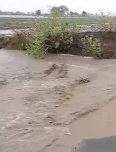 सिंधुदुर्ग जिल्ह्यासह परिसरात चांगला पाऊस