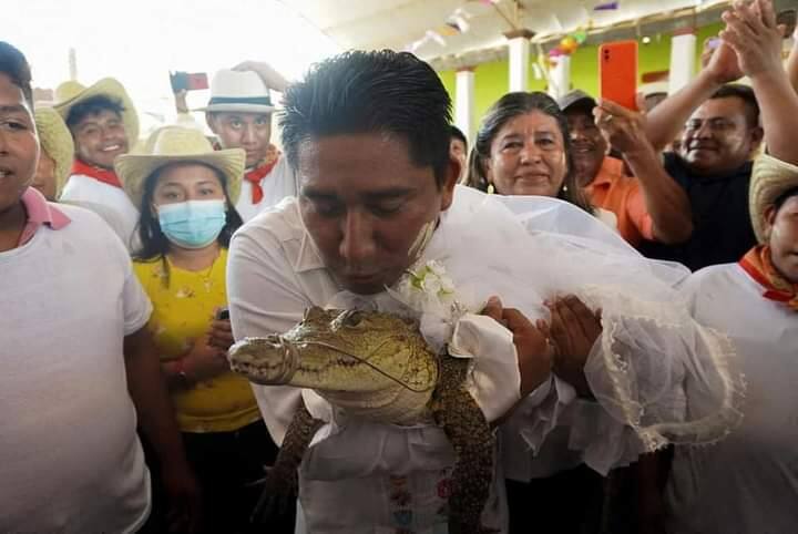 mexico mayor married to alligator photos viral on social media marathi news updates Trending News : मेक्सिकोमध्ये महापौरांचं मगरीसोबत लग्न, 'हे' आहे कारण