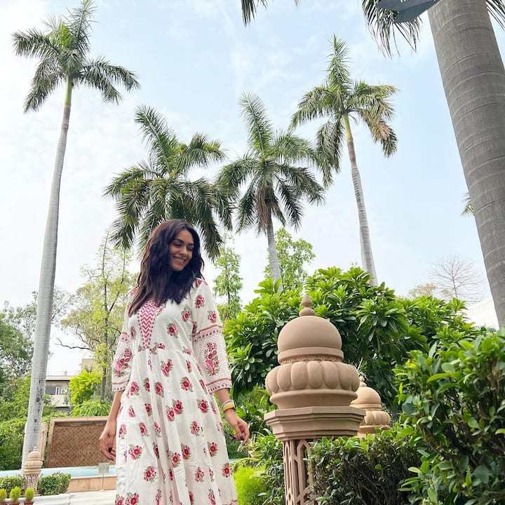 मृणाल ठाकुर ने 'खामोशियां' टीवी शो से अपने करियर की शुरुआत की थी. इसके अलावा वो मराठी और तेलुगू फिल्मों में भी काम कर चुकी हैं.