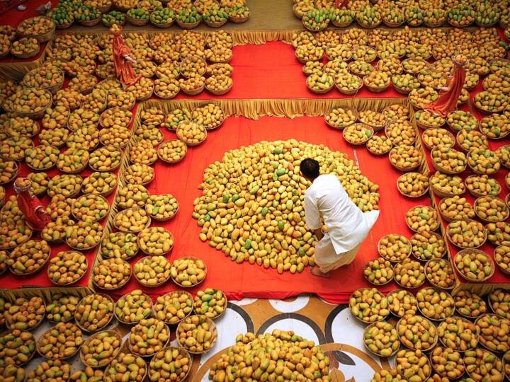 International Mango Festival 2022: All You Need to Know About the Festival in Delhi Mango Festival : சர்வதேச மாம்பழ திருவிழா 2022 :  இத்தனை வகை, இவ்வளவு ரகமா.. எல்லா சுவையும் தெரிய இதைப்படிங்க..