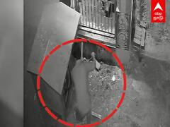 Crime Scene : ஊர்ந்து வந்து உண்டியல் கொள்ளை.. சிக்க வைத்த சிசிடிவி!