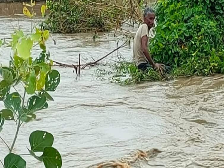 Wardha Rain news Heavy rains in Wardha district Wardha Rain : वर्धा जिल्ह्यात मुसळधार पाऊस, नाल्याच्या पुरात वाहून गेलेल्या व्यक्तीला सुखरुप बाहेर काढण्यात यश 