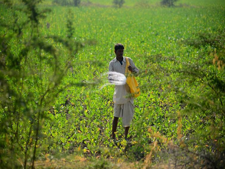 nano urea 2.5 lakh bottles have been used for crops in Jammu and Kashmir Nano Urea: जम्मू में इतना इस्तेमाल हुआ नैनो यूरिया, बनेंगे 140 समृद्धि केंद्र, किसानों की बढ़ेगी इनकम