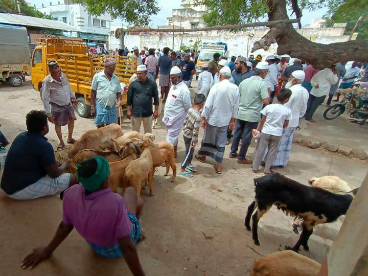 Weeded Goat Market in Pallapatti on the occasion of Bakrit  Selling more than rs 50 lakh goats கரூர்: பக்ரீத் பண்டிகை முன்னிட்டு  பள்ளப்பட்டியில்  களைகட்டிய  ஆட்டுச் சந்தை - ரூ. 50 லட்சத்துக்கு மேல் ஆடுகள் விற்பனை