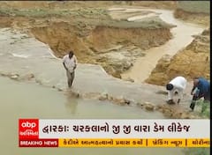 Dwarka : સતત નવા નીરની આવકને કારણે જીજીવારા ડેમ લીકેજ, જુઓ વીડિયો