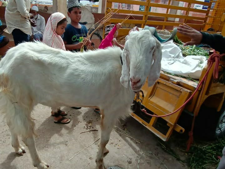 கரூர்: பக்ரீத் பண்டிகை முன்னிட்டு  பள்ளப்பட்டியில்  களைகட்டிய  ஆட்டுச் சந்தை - ரூ. 50 லட்சத்துக்கு மேல் ஆடுகள் விற்பனை