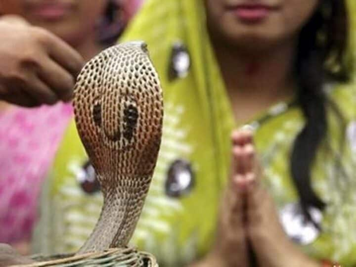 nagpanchami know the significance and do and donts of nagpanchami or gudiya Nag Panchami 2022:  जानिए क्या है नागपंचमी का महत्व? इस दिन क्या करें और क्या ना करें