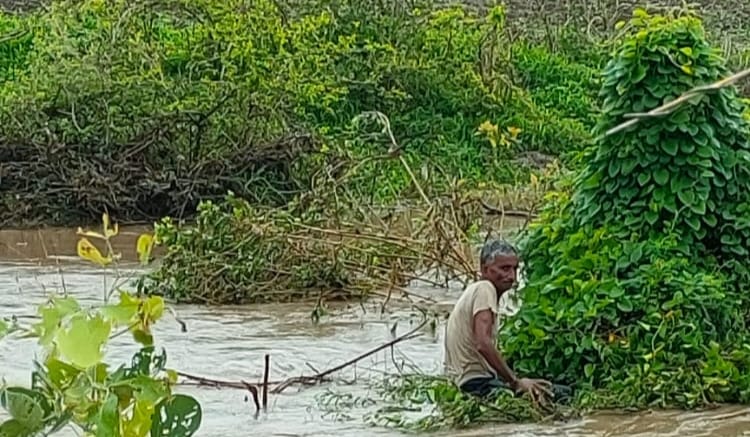 Wardha Rain : वर्धा जिल्ह्यात मुसळधार पाऊस, नाल्याच्या पुरात वाहून गेलेल्या व्यक्तीला सुखरुप बाहेर काढण्यात यश 