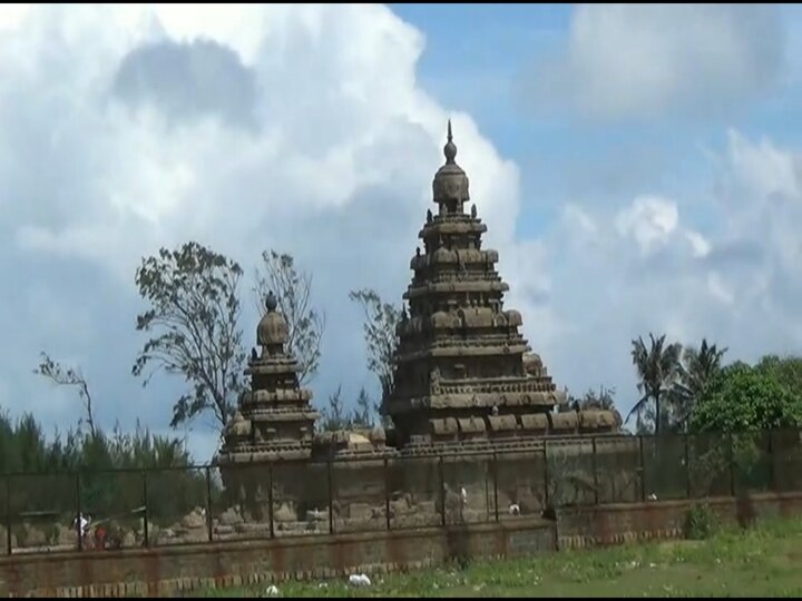 கிளியை கொடுமைப்படுத்திய ஜோசியர்கள்... சுதந்திரமாக பறக்கவிட்ட வனத்துறையினர்.. என்ன நடந்தது?