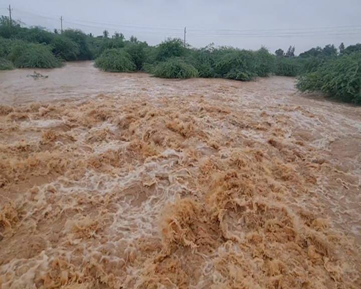 11 inches of rain in Lakhpat taluka of Kutch કચ્છ જિલ્લામાં મેઘરાજા મહેરબાન, આ તાલુકામાં 11 ઇંચ વરસાદ ખાબક્યો
