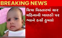 હવે ભાવનગરમાં ચાર મહિનાની માસૂમને રખડતા કૂતરાઓએ ભર્યા બચકા, સારવાર દરમિયાન મોત