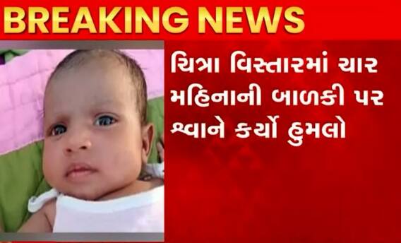 હવે ભાવનગરમાં ચાર મહિનાની માસૂમને રખડતા કૂતરાઓએ ભર્યા બચકા, સારવાર દરમિયાન મોત