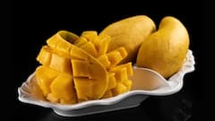 Aamsatta Recipe: সহজ পদ্ধতিতে বাড়িতে বানিয়ে ফেলুন আমসত্ত্ব, রইল রেসিপি