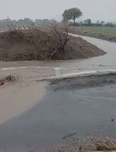 राज्याच्या विविध भागात पावसाची दमदार हजेरी