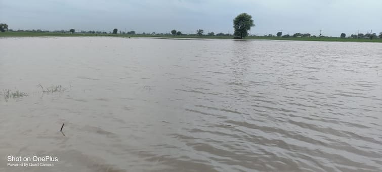 Sudden flood situation may occur in some districts of east Vidarbha Vidarbha Rains : विदर्भातील 'या' जिल्ह्यात अचानक निर्माण होऊ शकते पूर स्थिती, भारतीय हवामान खात्याचा अंदाज