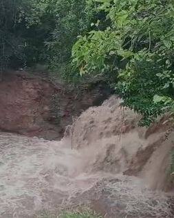 राज्याच्या विविध भागात पावसाची दमदार हजेरी