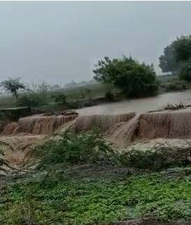पावसामुळं शेतकऱ्यांमध्ये आनंदाचं वातावरण