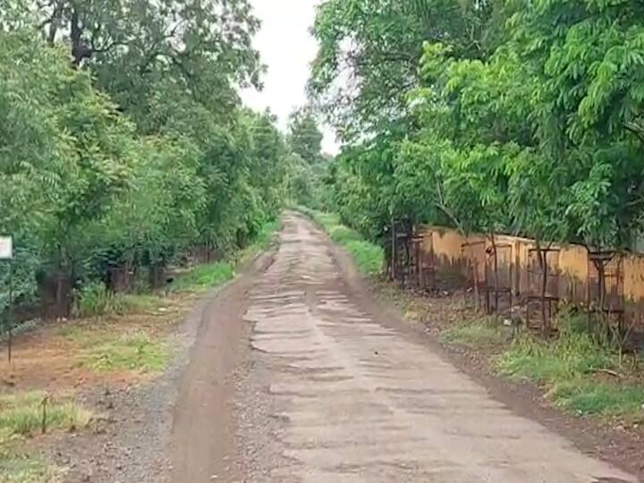 Ahamadnagar Latest News Shirdi Kopargaon Anjanapur Tree Plantation Story Ahmednagar : वृक्ष लागवडीनंतर गावची ओळखच बदलली, दुष्काळी म्हणून ओळखलं जाणारं गाव आता झालेय 'झाडांचे गाव'