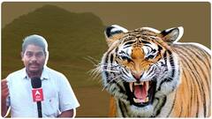 Bengal Tiger Fear In Anakapalle Visannapeta: పెద్దపులి భయంతో వణుకుతున్న విస్సన్నపేట| ABP Desam