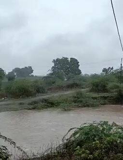 सिंधुदुर्ग जिल्ह्यातही चांगला पाऊस, तिलारी धरणाचे दरवाजे उघडले