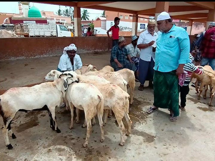 கரூர்: பக்ரீத் பண்டிகை முன்னிட்டு  பள்ளப்பட்டியில்  களைகட்டிய  ஆட்டுச் சந்தை - ரூ. 50 லட்சத்துக்கு மேல் ஆடுகள் விற்பனை