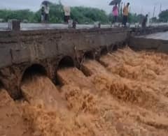 Kutch: ધોધમાર વરસાદના કારણે વહેતા થયા નદી નાળા, જુઓ આ વીડિયો