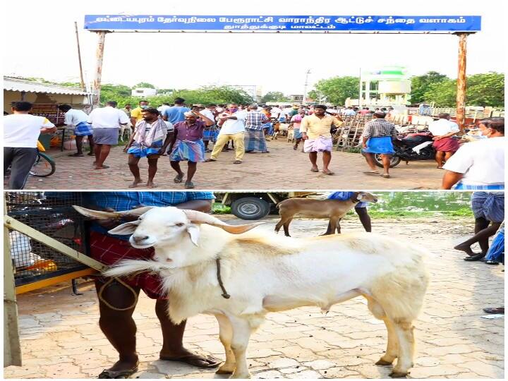 bakrit festival Ettayapuram is the weekly goat market  goat business நாளை பக்ரீத்: விடிய, விடிய  நடந்த ஆடு வியாபாரம்; ரூ.7 கோடிக்கு ஆடுகள் விற்பனை - களை கட்டிய எட்டயபுரம்  ஆட்டுச் சந்தை..!