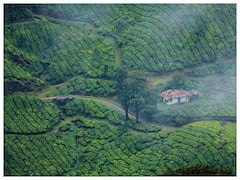 Kerala Tourism :केरल के इन जगहों पर जरूर करें विजिट, सालों-साल नहीं भूलेंगे इसकी खूबसूरती