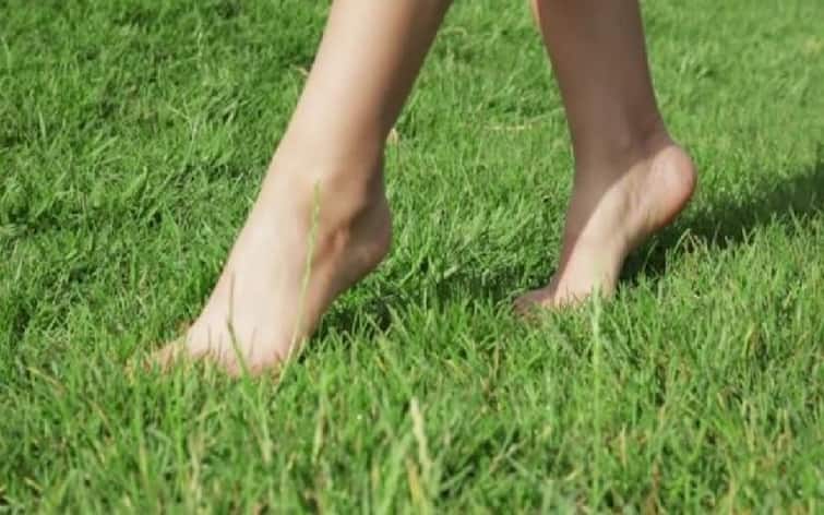 Benefits of walking barefoot on grass for 20 minutes daily and benefits of walking Health Tips: રોજ સવારે 20 મિનિટ કરો આ કામ, માનસિક અને શારિરીક સ્વાસ્થ્ય માટે છે અદભૂત ટિપ્સ