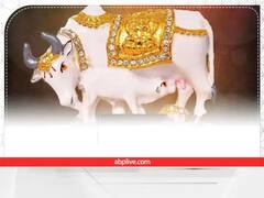  Vastu Tips : घरातील वास्तुदोष दूर करायचा आहे? लावा हे फोटो 