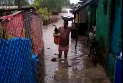 Wardha Rain : वर्धा जिल्ह्यात मुसळधार पाऊस, सोनोरा ढोक गावात शिरलं पुराचं पाणी, अनेक कुटुंब उघड्यावर